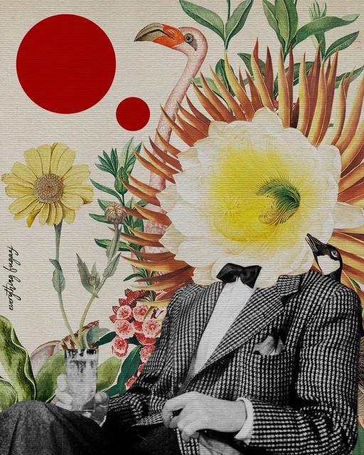 INTERACTIVE WEB
